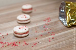Macarons aux Pralines - Cahier de gourmandises