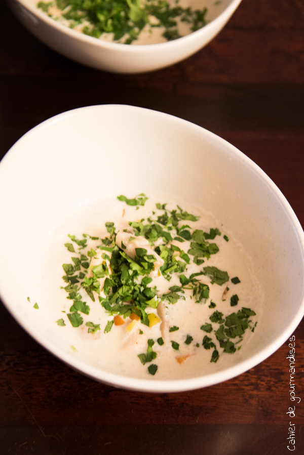 Soupe Thai de Poulet | Cahier de gourmandises