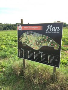 Plan de la cueillette