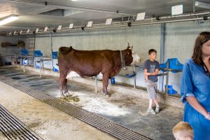 Visite de la ferme