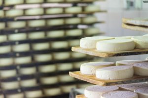 Visite de la ferme