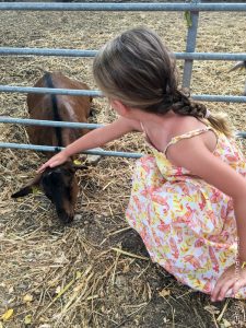 Ferme du Bregalon | Cahier de gourmandises