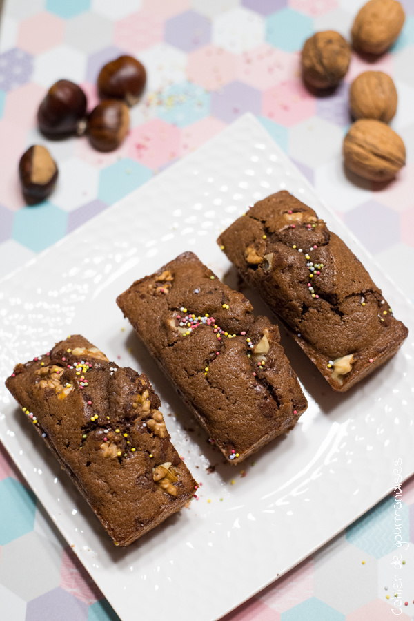 Mini-cakes au chocolat | Cahier de gourmandises
