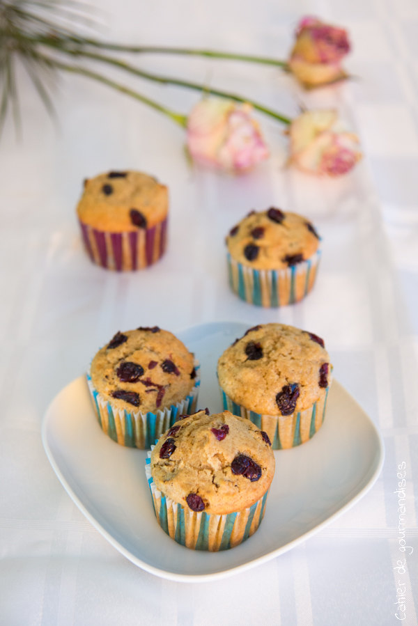 Muffins croustillants aux cranberries | Cahier de gourmandises